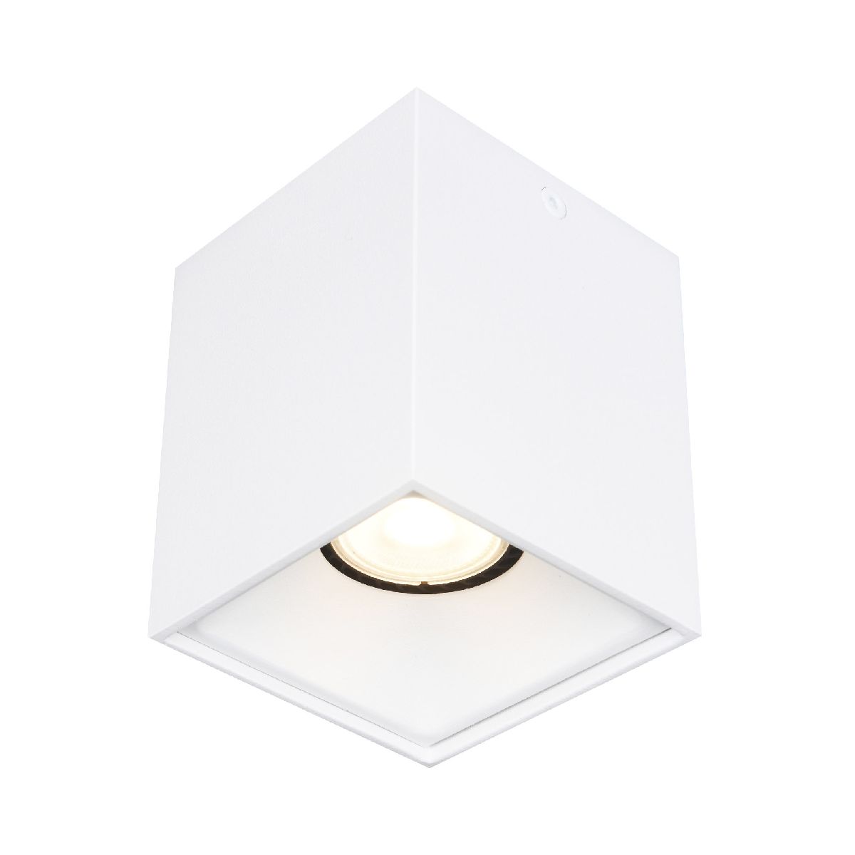 Накладной светильник ST Luce ST168.502.01 Накладной светильник ST Luce ST168.502.01