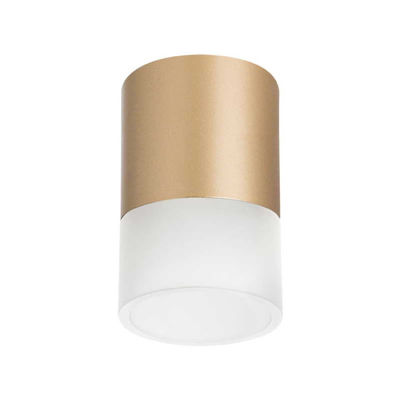 Накладной светильник Lightstar Rullo (213490+202481) R349081 Накладной светильник Lightstar Rullo (213490+202481) R349081
