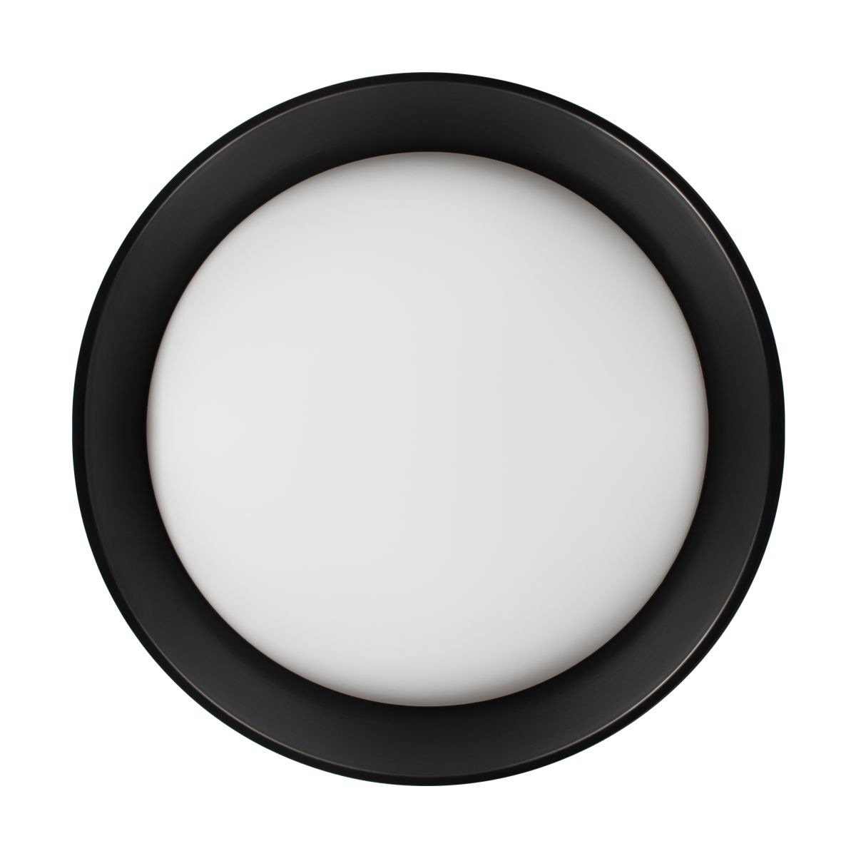 Потолочный светильник Loft IT Coin 10202 BB