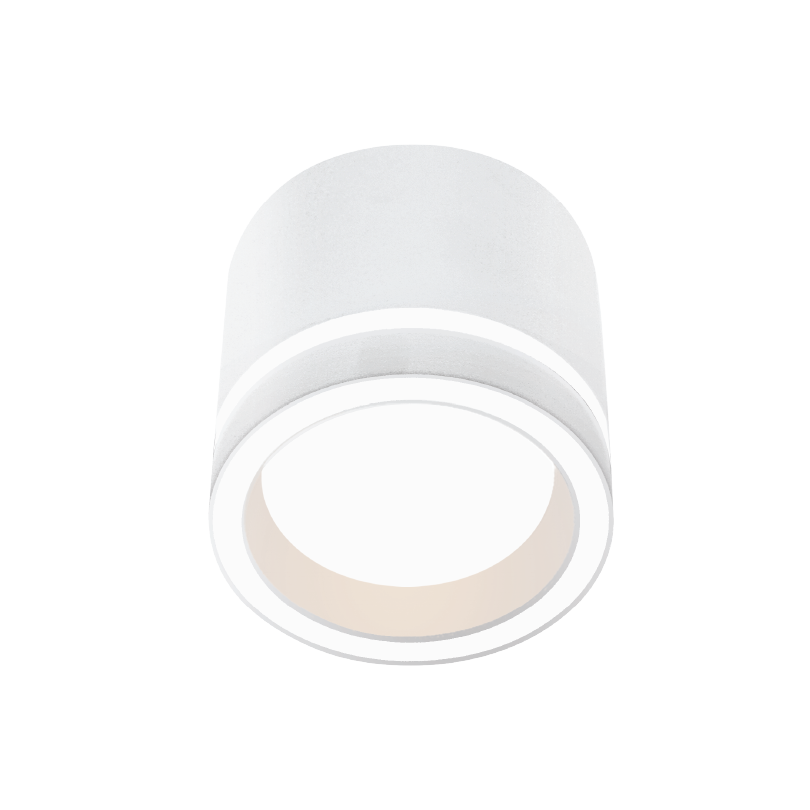 Накладной светильник Wolta Luce WSL-GX53/06W