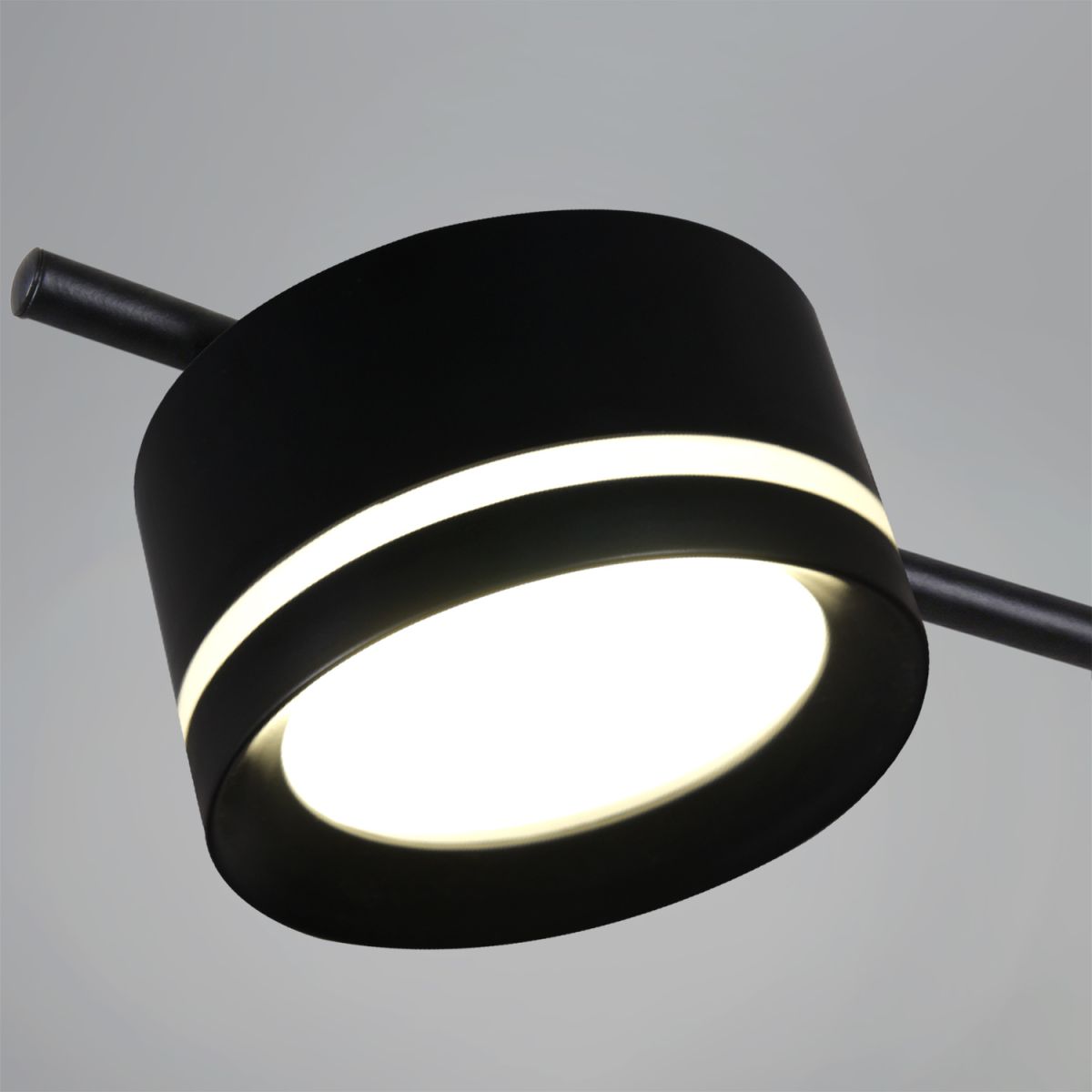 Потолочная люстра Reluce 10590-0.3-10 Black