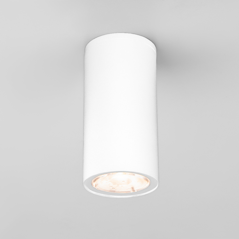 Уличный потолочный светильник Elektrostandard Light LED 4690389176555 Уличный потолочный светильник Elektrostandard Light LED 4690389176555
