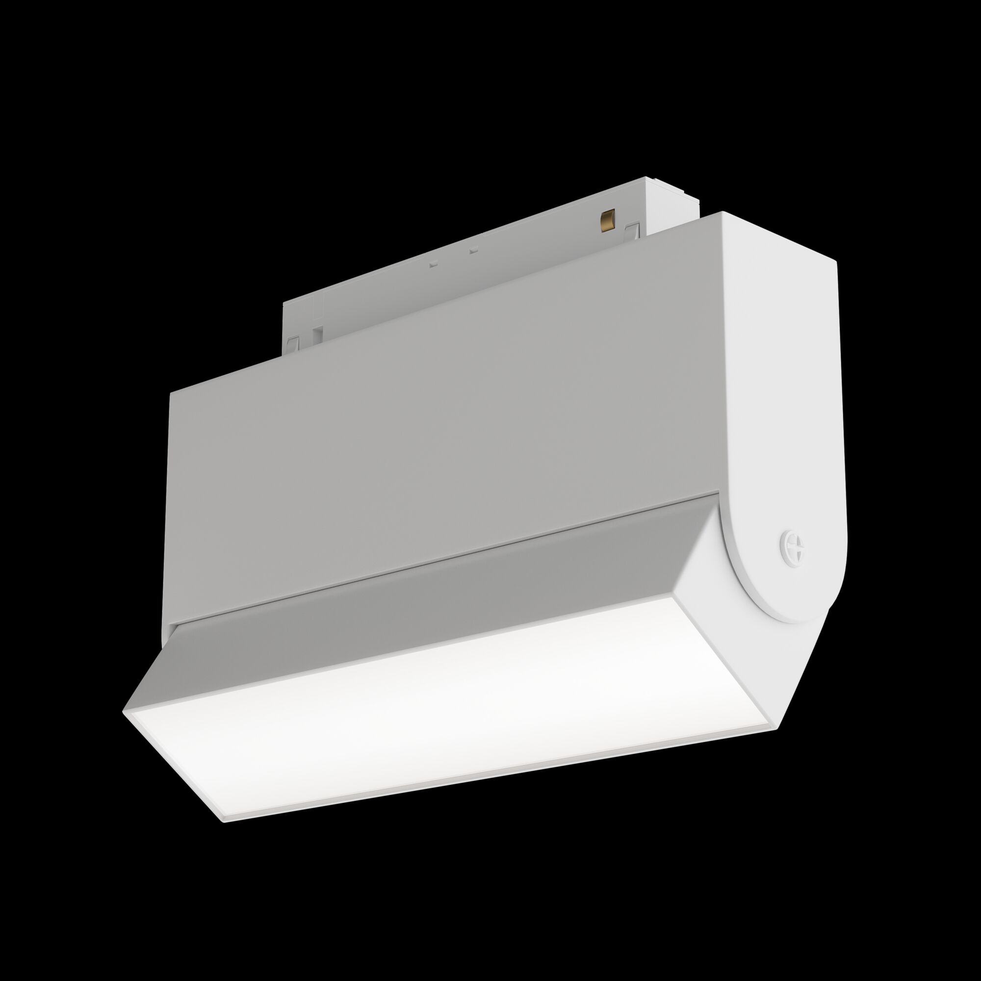 Трековый светильник Maytoni Technical BASIS TR013-2-10W3K-W