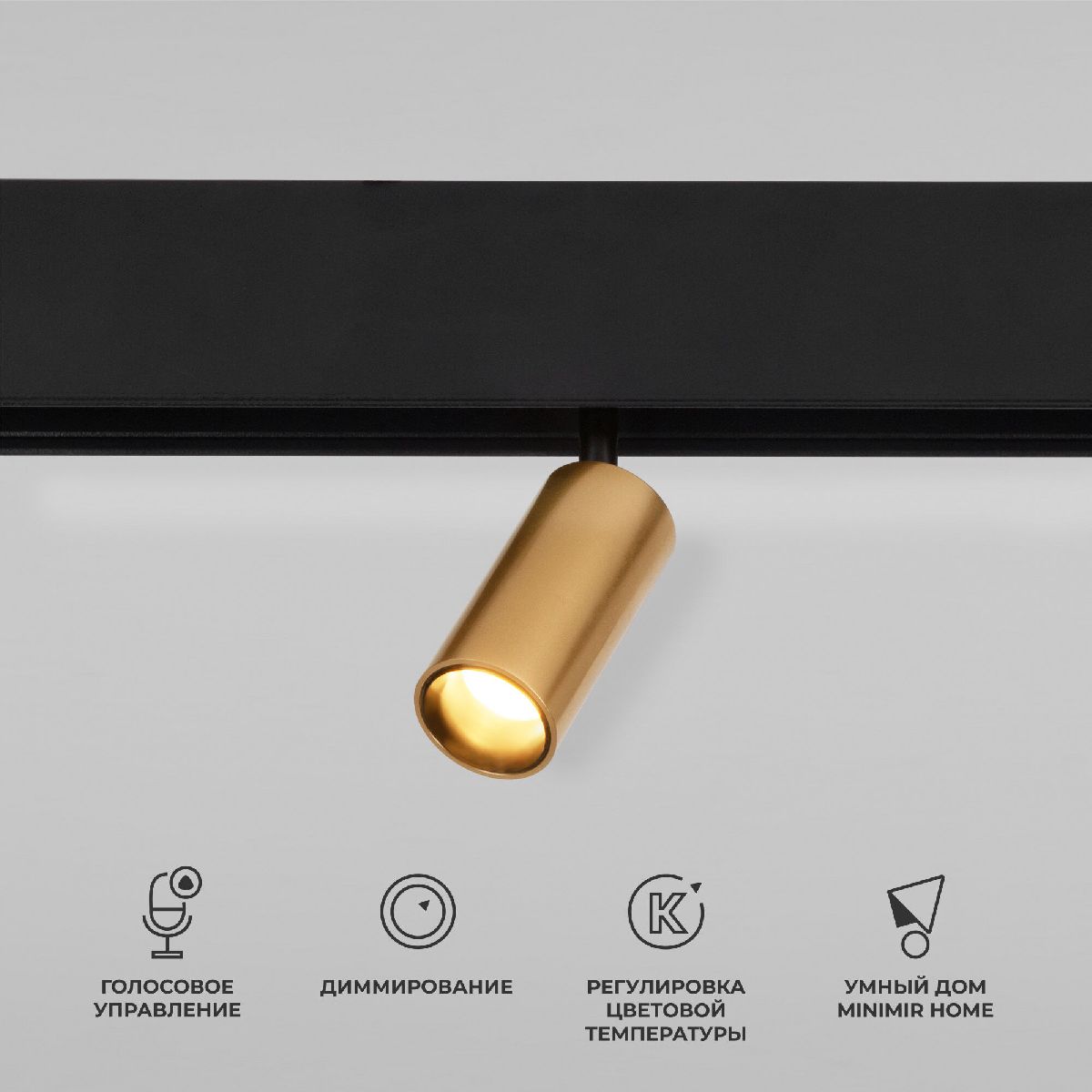 Магнитный трековый светильник  Elektrostandard Slim Magnetic Dim Cantors 5W 2700-6500K латунь 4690389195303 a063531 Магнитный трековый светильник  Elektrostandard Slim Magnetic Dim Cantors 5W 2700-6500K латунь 4690389195303 a063531