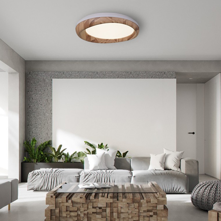 Потолочный светильник ImperiumLoft Runis 219476-26
