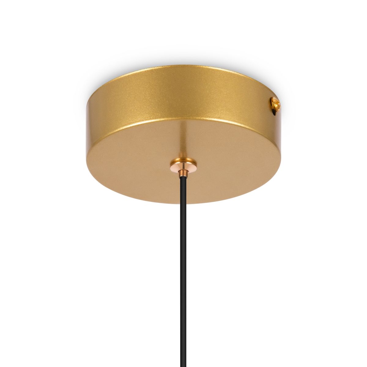 Подвесной светильник Freya Planetary FR6081PL-L5G