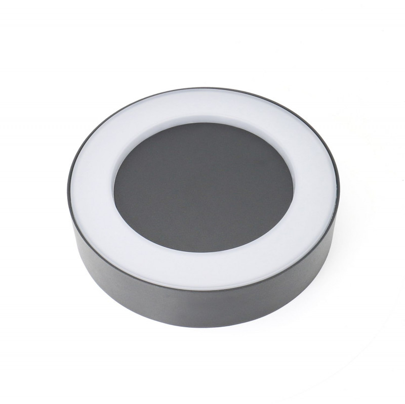 Светильник настенный Favourite Washer 2865-1W Светильник настенный Favourite Washer 2865-1W
