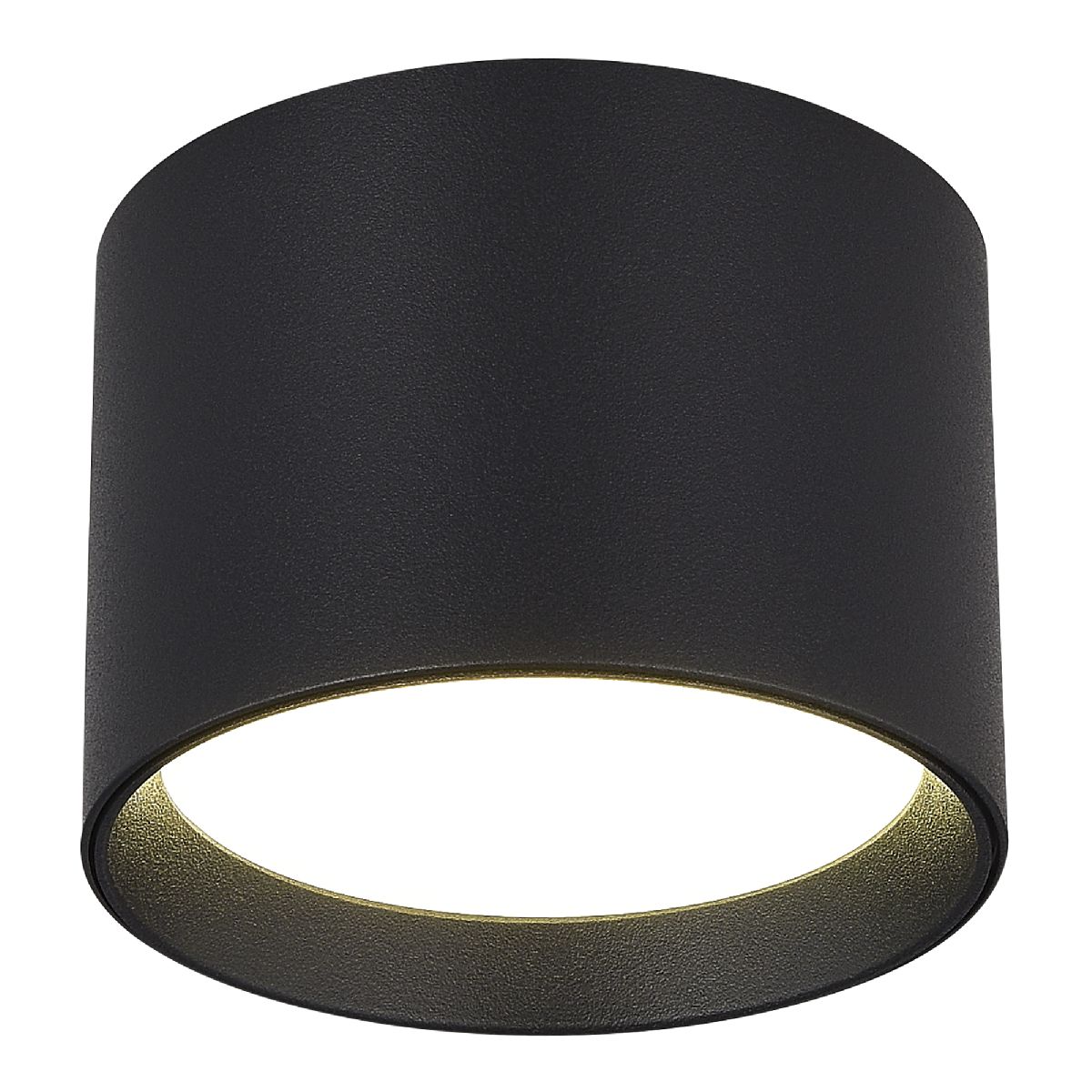 Накладной светильник ST Luce ST163.402.01 Накладной светильник ST Luce ST163.402.01