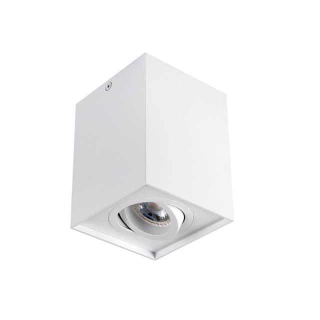 Накладной светильник Kanlux Gord DLP 50-W 25470 Накладной светильник Kanlux Gord DLP 50-W 25470