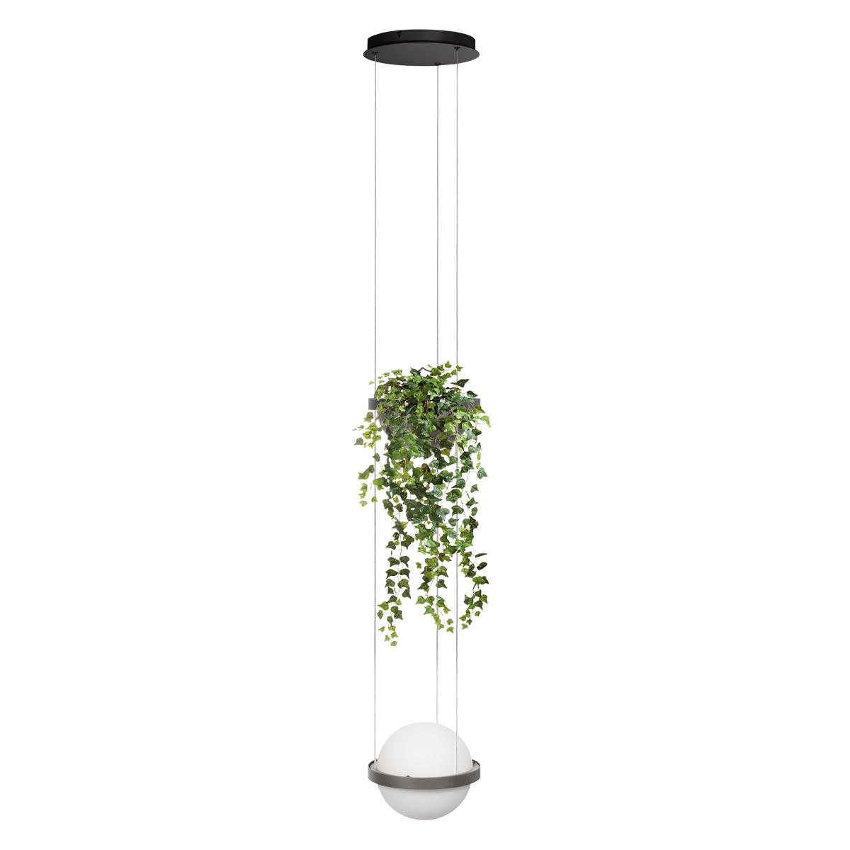Подвесной светильник Loft IT Jardin 10121/1P Dark grey Подвесной светильник Loft IT Jardin 10121/1P Dark grey