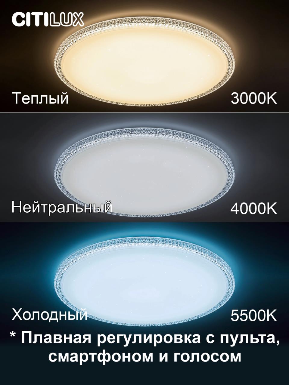 Потолочный светильник Citilux Альпина CL718A80G