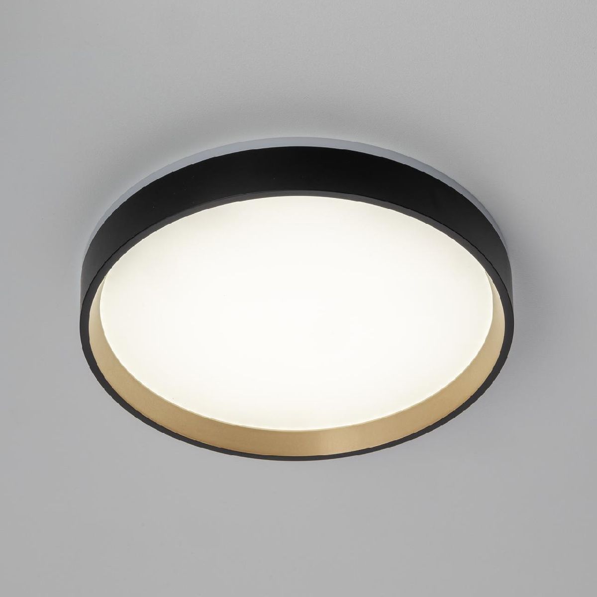 Настенно-потолочный светильник Citilux Etalon CL750241