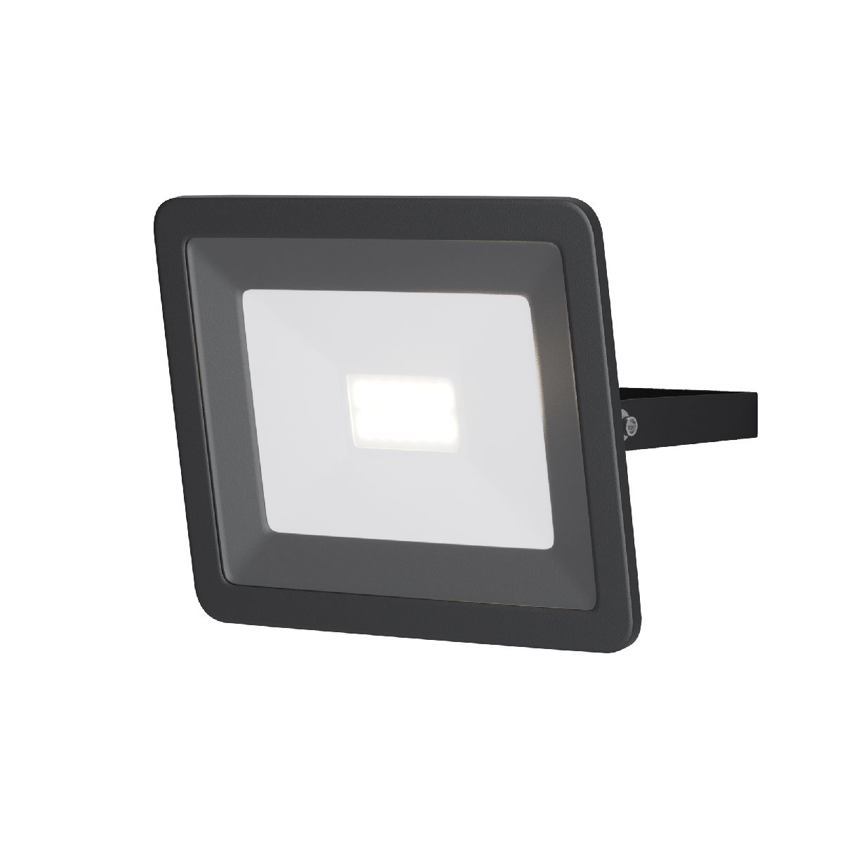 Прожектор Maytoni Flood FL001-L10B6K Прожектор Maytoni Flood FL001-L10B6K