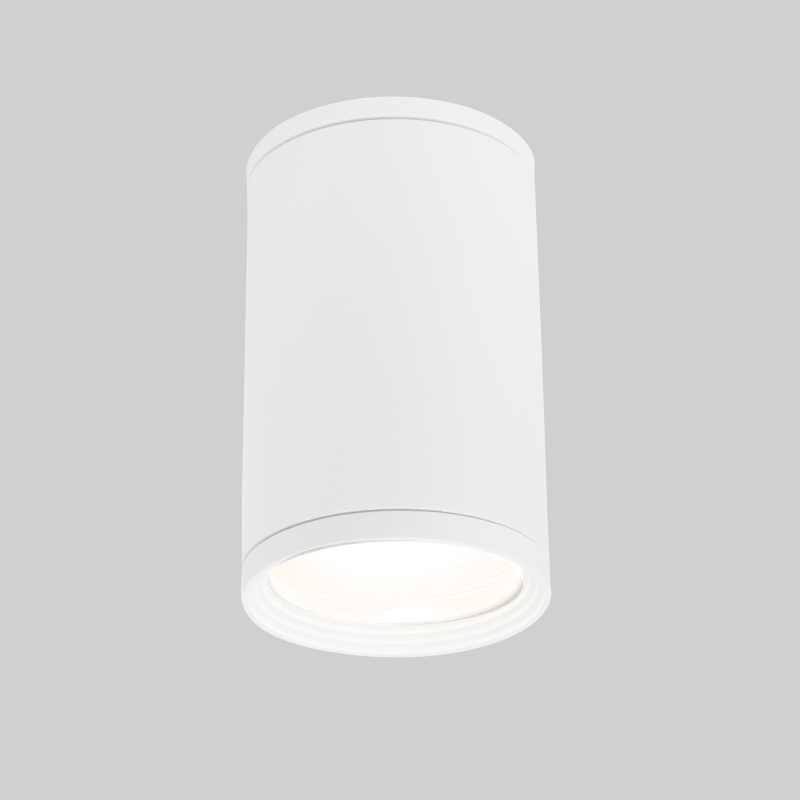 Уличный потолочный светильник Elektrostandard Light 4690389175893 Уличный потолочный светильник Elektrostandard Light 4690389175893