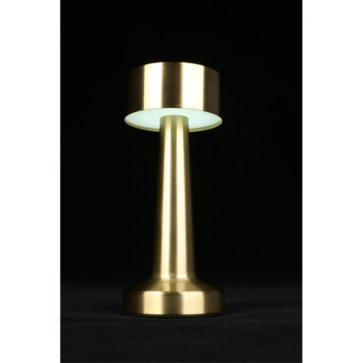 Настольная лампа Aployt Perrayn APL.671.04.01