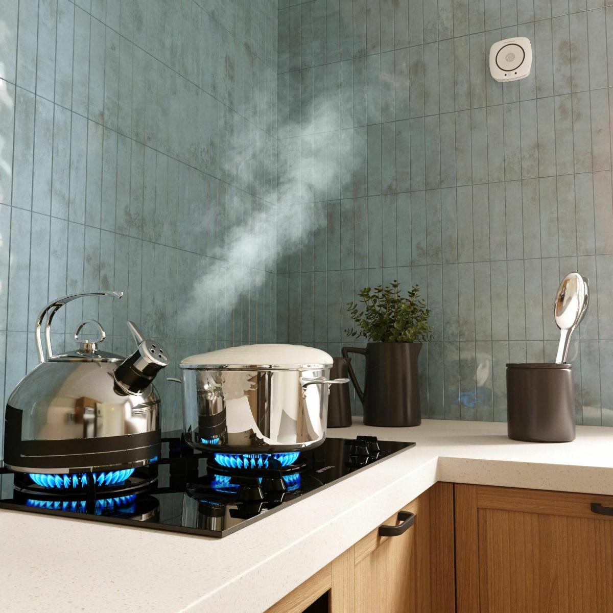 Датчик газа Wi-Fi Elektrostandard 76250/00 4690389186837