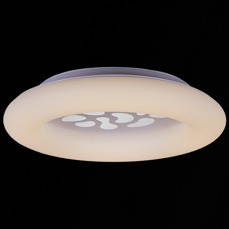 Потолочная люстра Reluce 09939-0.3-108W WT