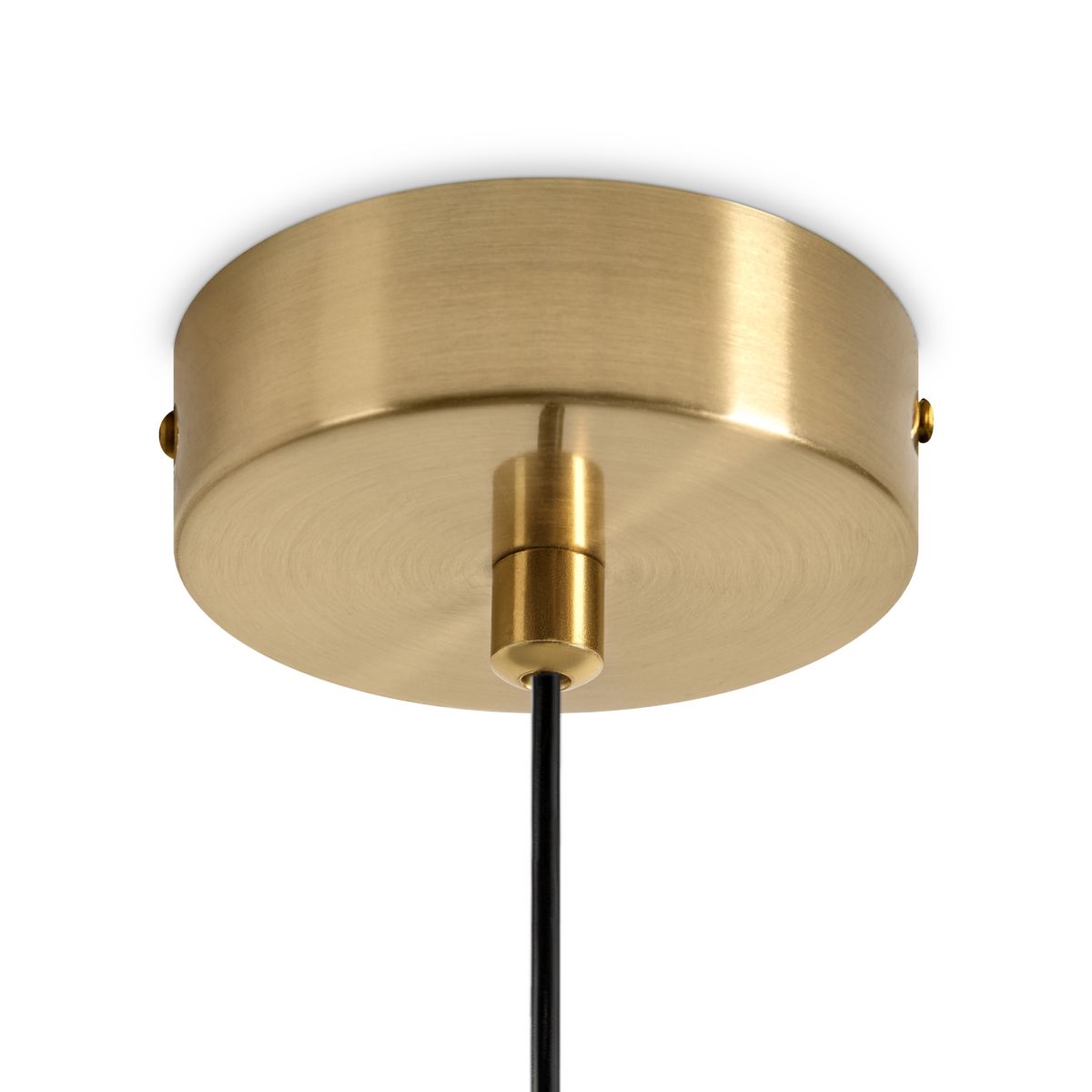 Подвесной светильник Freya Cave FR5631PL-01BS