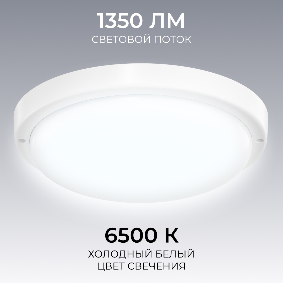 Светильник светодиодный герметичный OGM О28-10