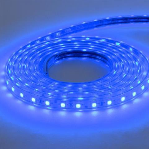 Светодиодная влагозащищенная лента Horoz 6W/m 60LED/m 5050SMD синий 50M 081-004-0001 (HL543L) HRZ00001188 Светодиодная влагозащищенная лента Horoz 6W/m 60LED/m 5050SMD синий 50M 081-004-0001 (HL543L) HRZ00001188