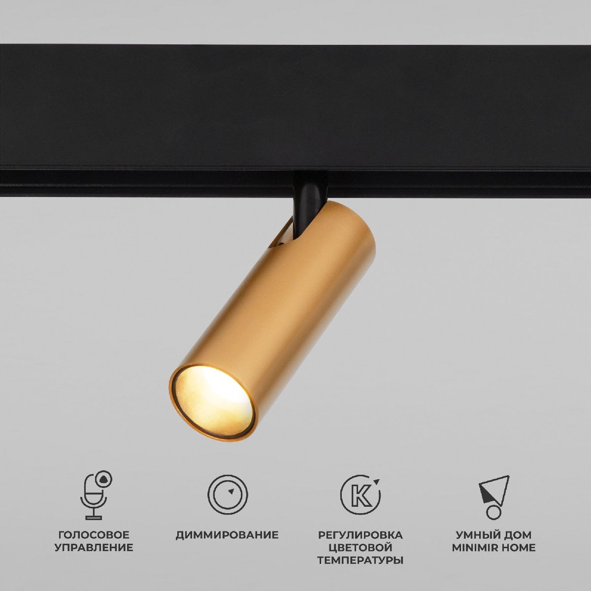 Трековый магнитный светильник Elektrostandard Slim Magnetic 4690389195280 a063529 Трековый магнитный светильник Elektrostandard Slim Magnetic 4690389195280 a063529