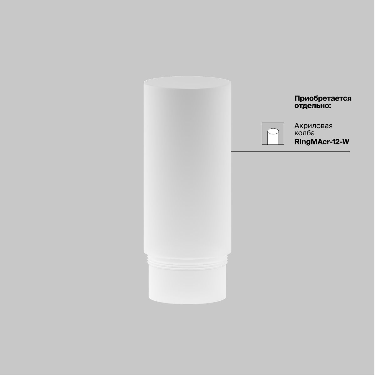 Трековый магнитный светильник Maytoni Focus Led TR041-2-12W3K-BBS