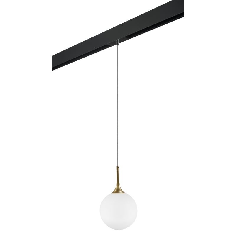Трековый светильник Lightstar Globo PRO813022 (813022+595007) Трековый светильник Lightstar Globo PRO813022 (813022+595007)