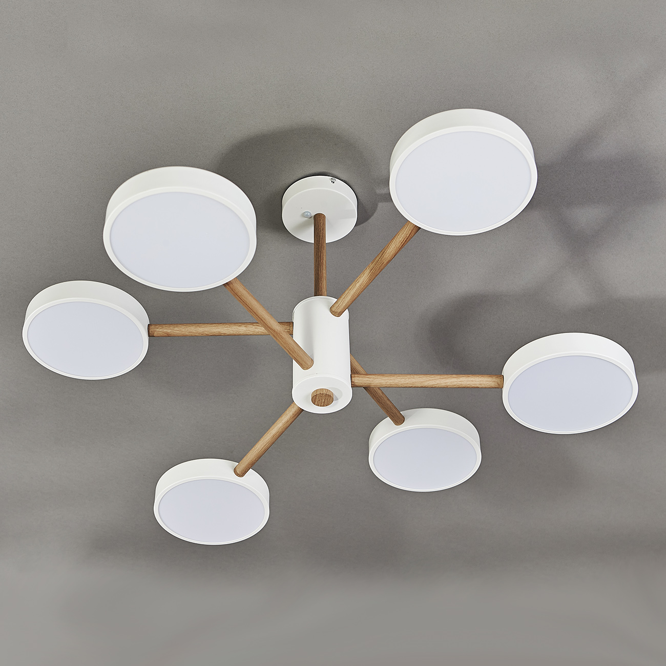 Потолочная светодиодная люстра Escada Astrid 10236/6LED