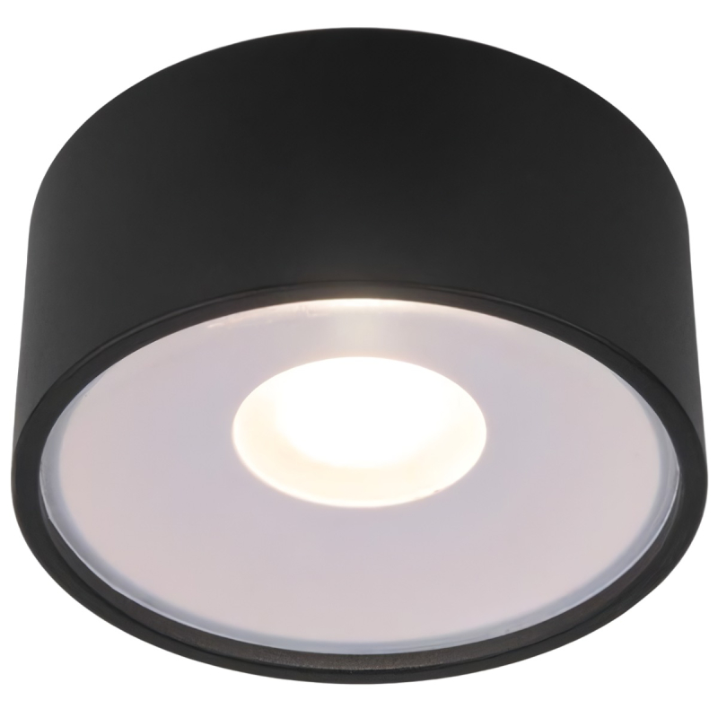 Уличный потолочный светильник Elektrostandard Light LED 4690389180156 Уличный потолочный светильник Elektrostandard Light LED 4690389180156
