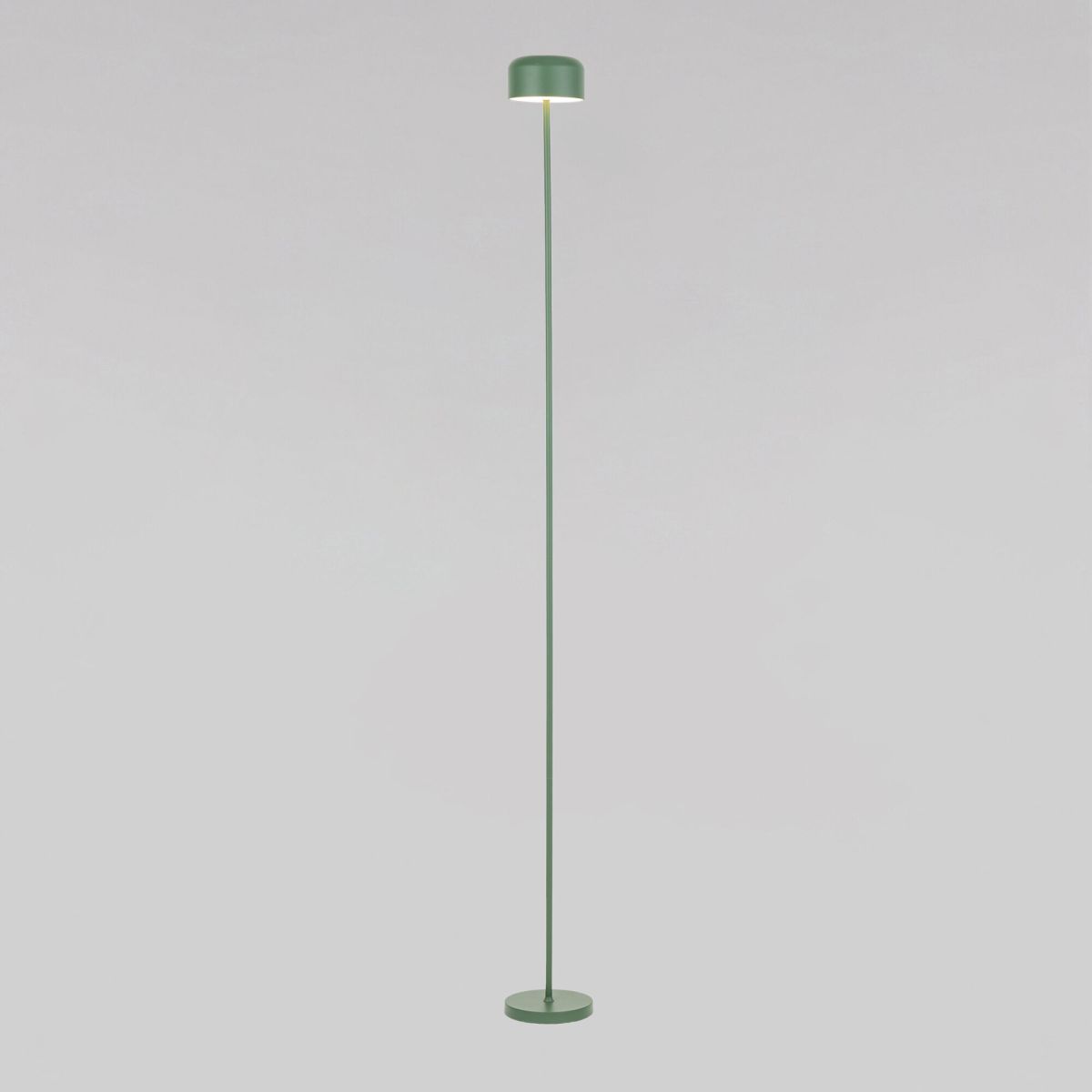 Торшер TK Lighting 19007 Noa Green a073035