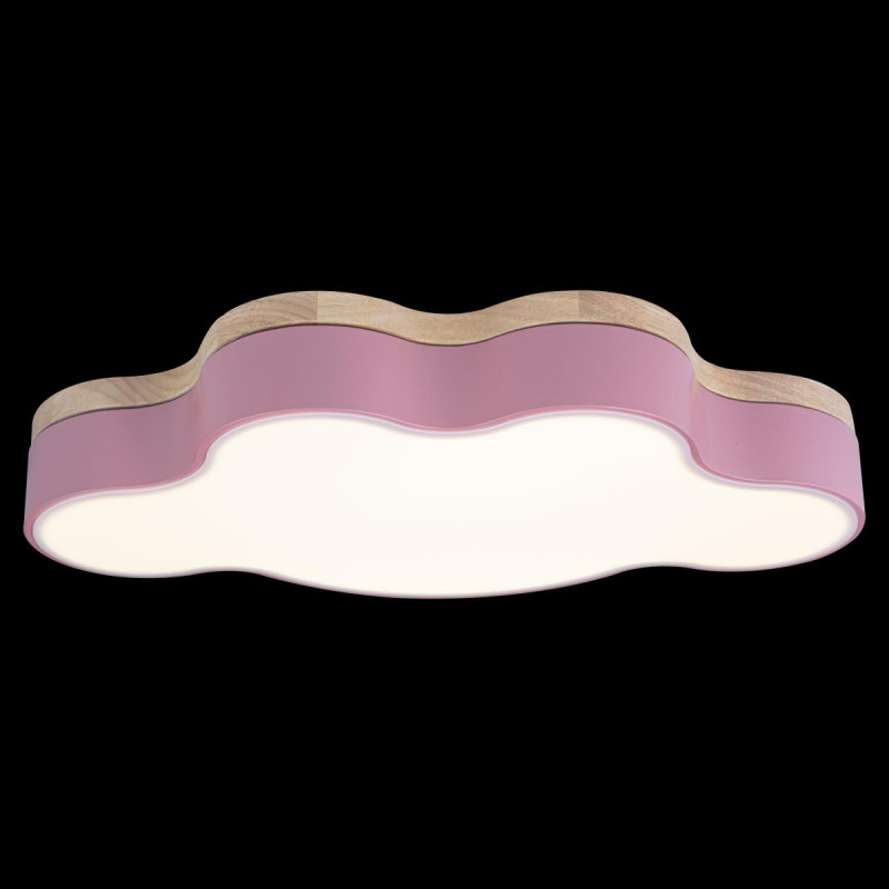 Потолочный светильник Loft IT AXEL 10005/30 Pink