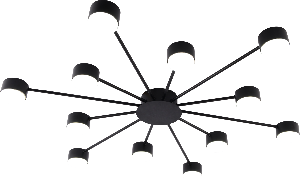 Потолочная люстра Rivoli Leona 3184-312 Б0070176