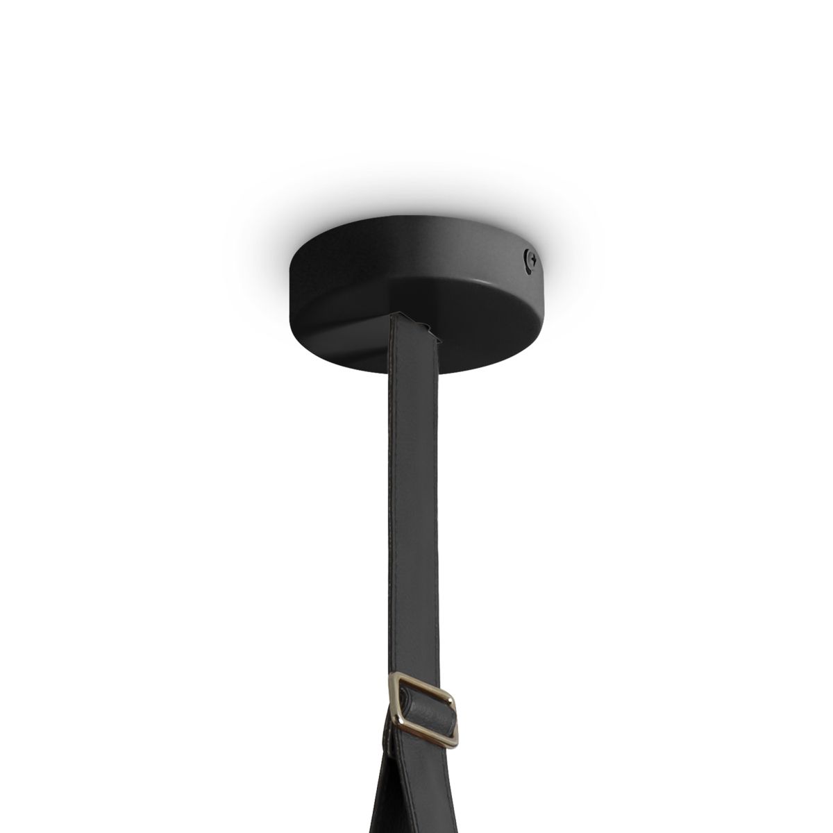 Подвесной светильник Freya Aurum FR5471PL-L12B