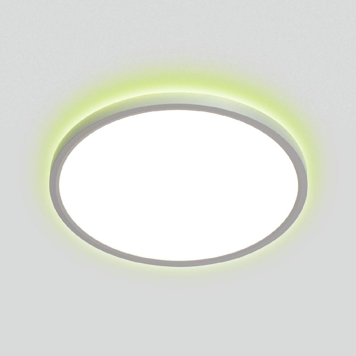 Потолочный светильник Citilux Norma CL749320