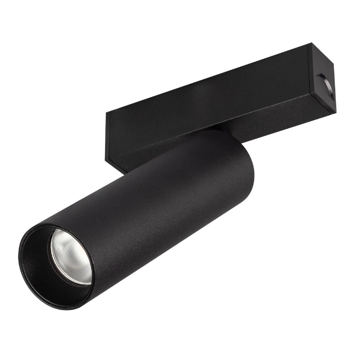 Трековый магнитный светильник Arlight MAG-SPOT-25-R120-12W Day4000 (BK, 30 deg, 24V, DALI) 046320 Трековый магнитный светильник Arlight MAG-SPOT-25-R120-12W Day4000 (BK, 30 deg, 24V, DALI) 046320