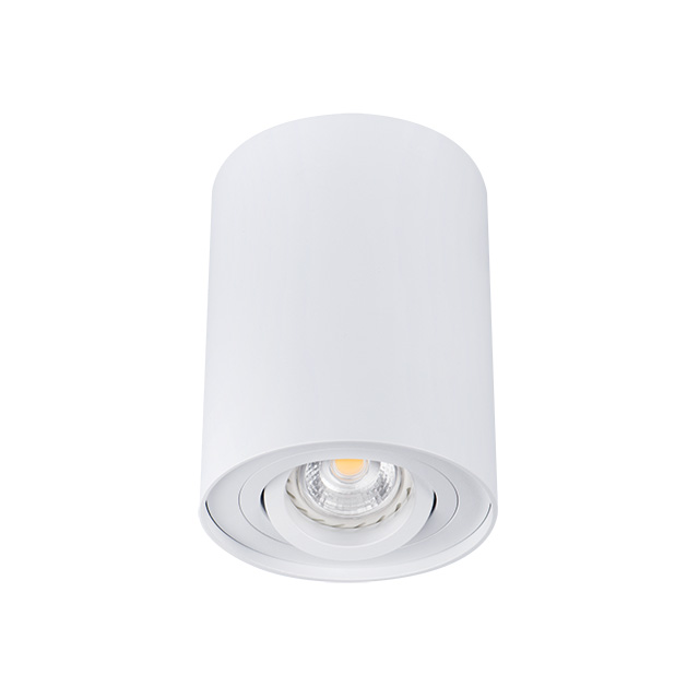 Накладной светильник Kanlux Bord DLP-50-W  22551 Накладной светильник Kanlux Bord DLP-50-W  22551