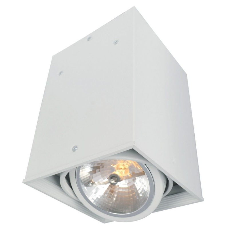 Потолочный светильник Arte Lamp Cardani A5936PL-1WH Потолочный светильник Arte Lamp Cardani A5936PL-1WH