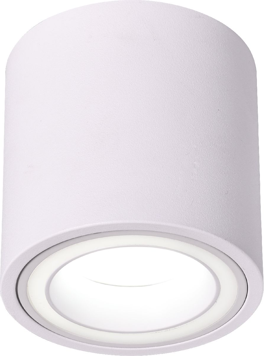 Накладной светильник Эра OL47 WH Б0059795 Накладной светильник Эра OL47 WH Б0059795