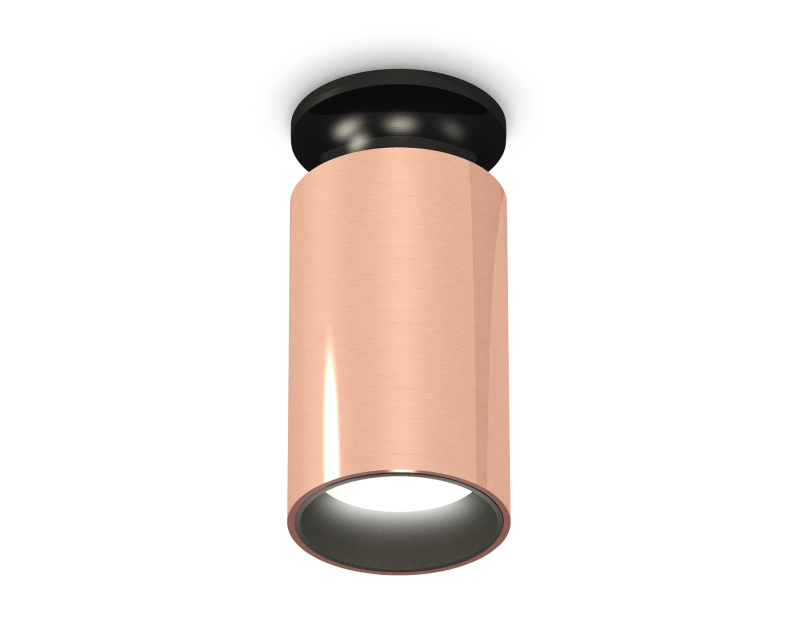 Потолочный светильник Ambrella Light Techno Spot XS6326101 (N6902, C6326, N6111) Потолочный светильник Ambrella Light Techno Spot XS6326101 (N6902, C6326, N6111)