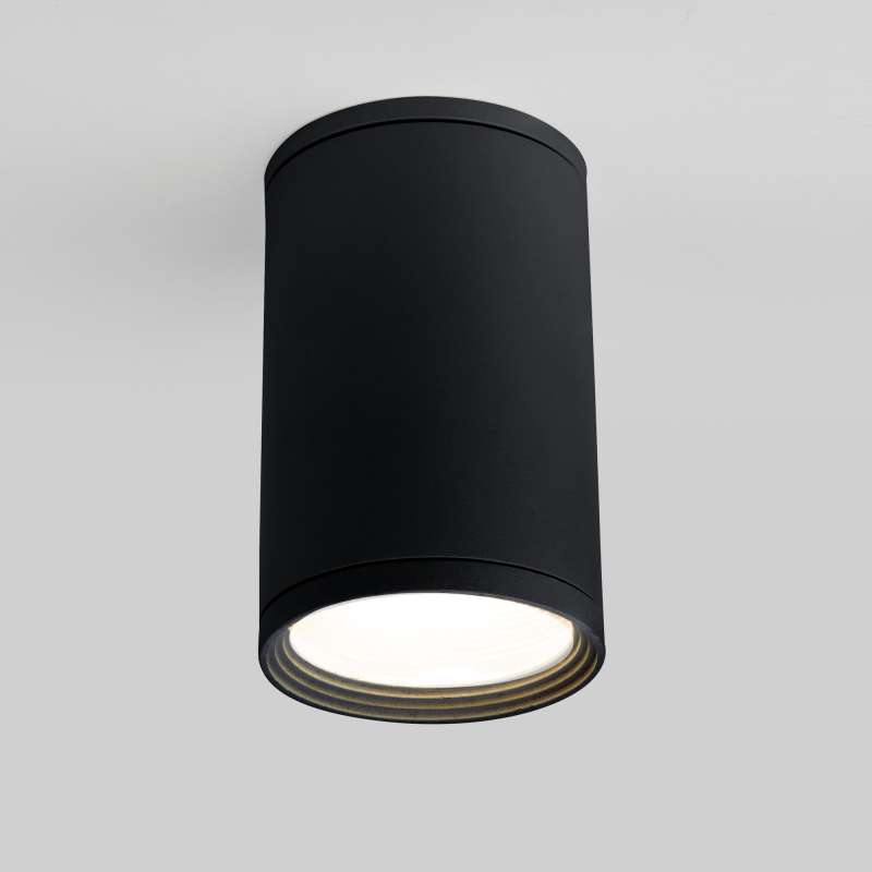 Уличный потолочный светильник Elektrostandard Light 4690389175916 Уличный потолочный светильник Elektrostandard Light 4690389175916