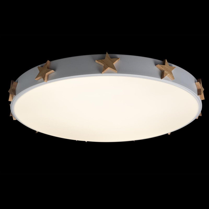 Потолочный светильник Loft IT AXEL 10006/36 White