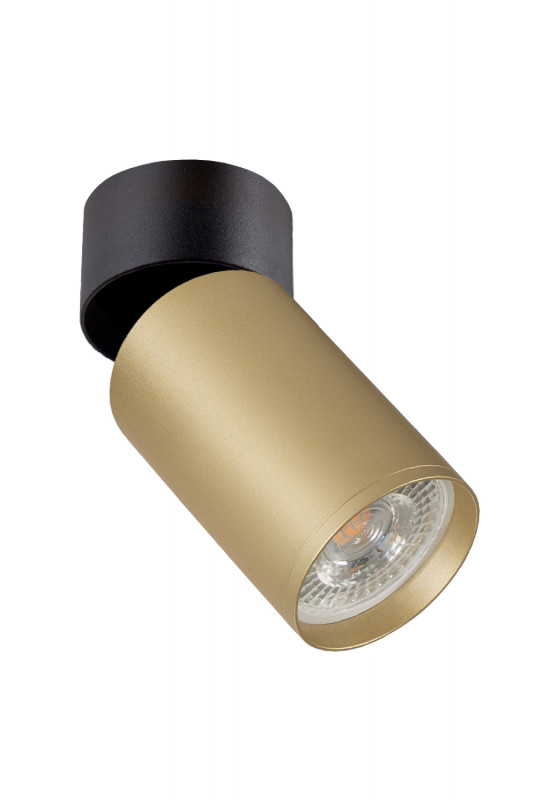 Спот Denkirs DK2029 DK2029-BG Спот Denkirs DK2029 DK2029-BG