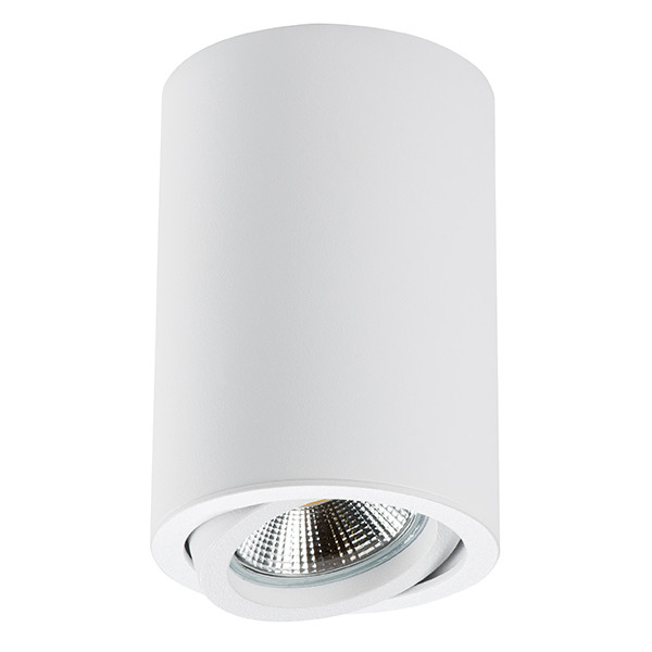 Накладной светильник Lightstar Rullo 214406 Накладной светильник Lightstar Rullo 214406
