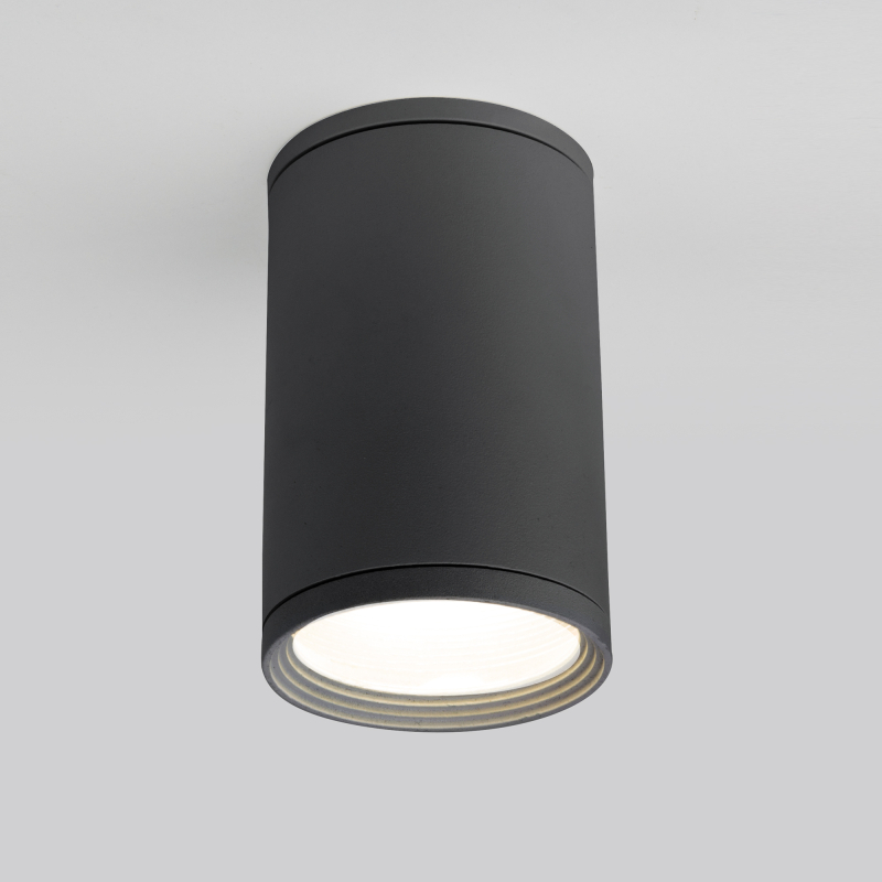 Уличный потолочный светильник Elektrostandard Light 4690389175909 Уличный потолочный светильник Elektrostandard Light 4690389175909