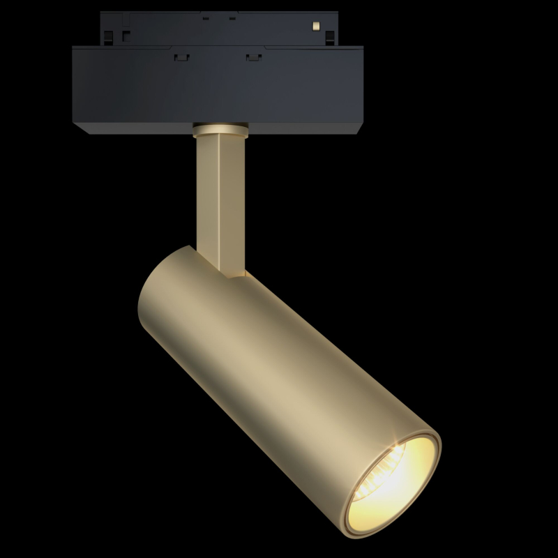 Трековый светильник Maytoni Focus LED  TR019-2-10W4K-MG Трековый светильник Maytoni Focus LED  TR019-2-10W4K-MG
