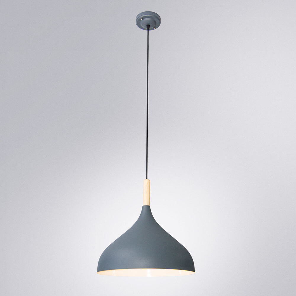 Подвесной светильник Arte Lamp Kayla A7101SP-1GY