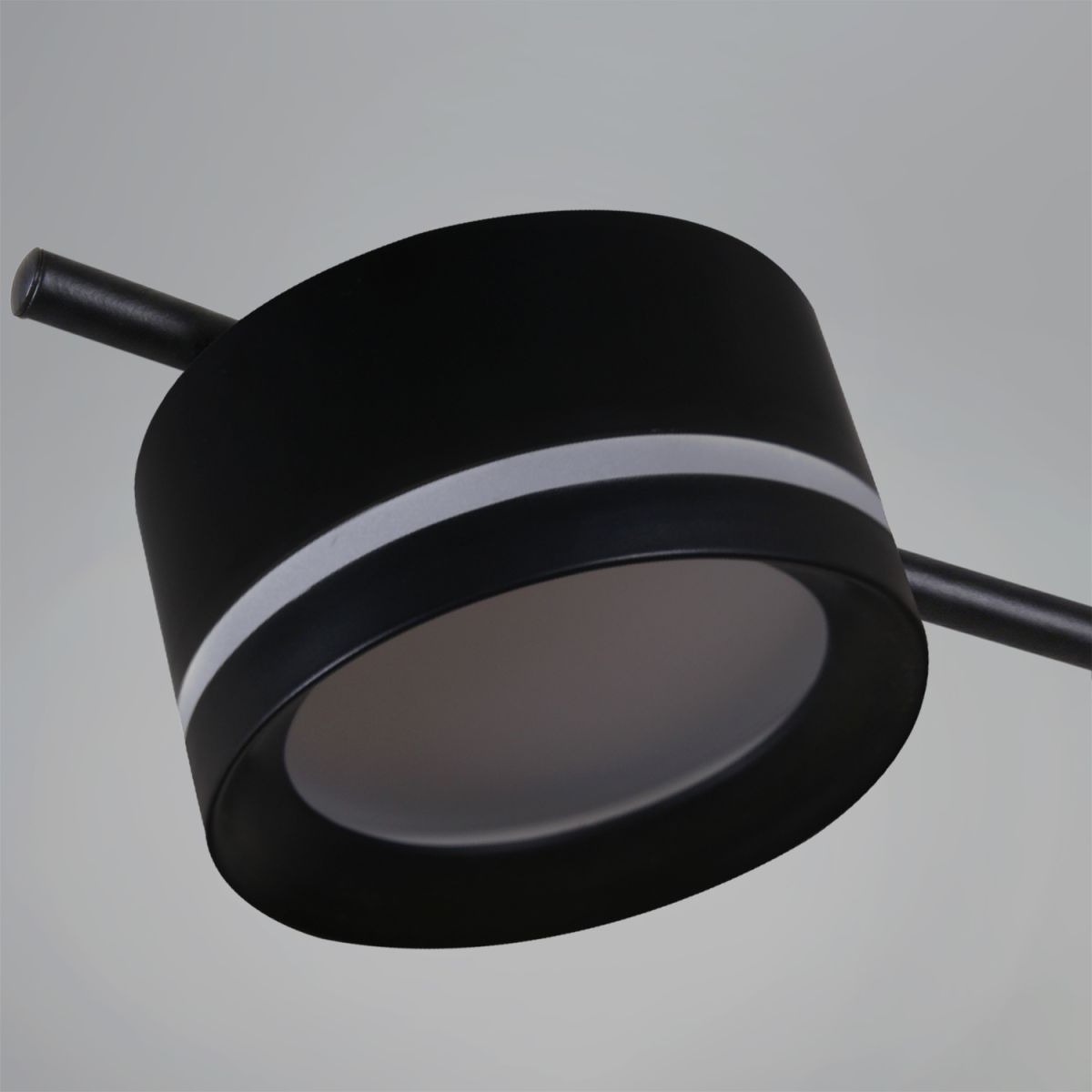 Потолочная люстра Reluce 10590-0.3-10 Black