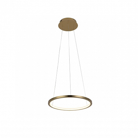 Подвесной светодиодный светильник Loft IT Ring 10014S Подвесной светодиодный светильник Loft IT Ring 10014S