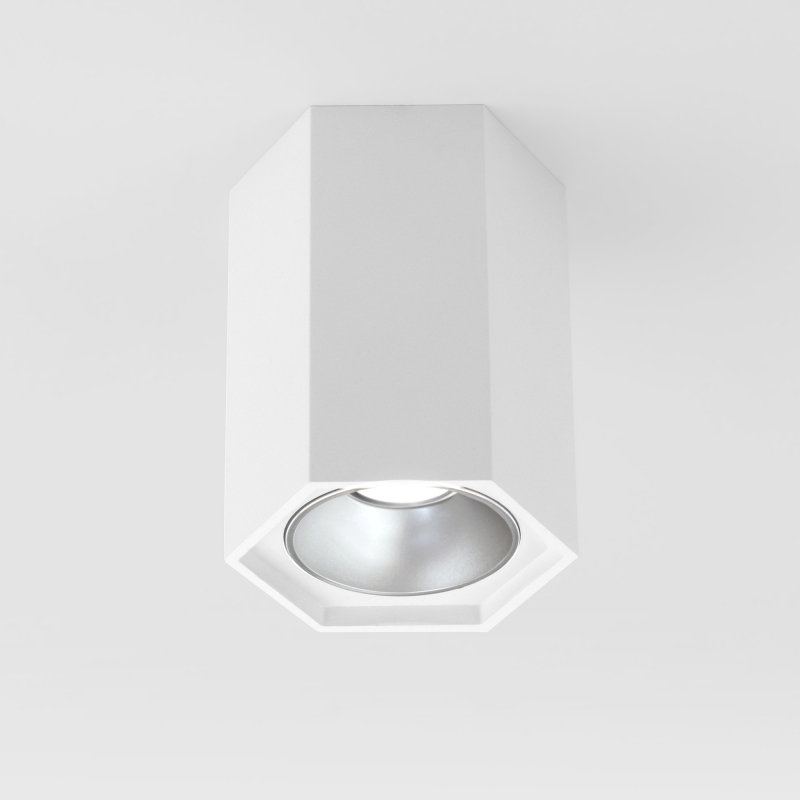 Накладной светодиодный светильник Elektrostandard 25036/LED 4690389176487 Накладной светодиодный светильник Elektrostandard 25036/LED 4690389176487