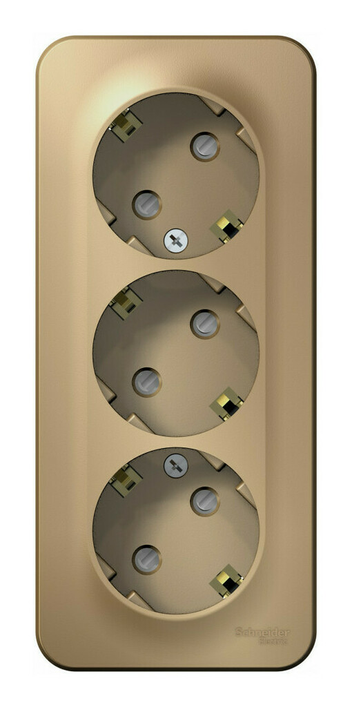Розетка 3-ая с/з со шторками 16А, 250В, изолир. Пластина Systeme Electric Blanca наруж Титан BLNRA011314